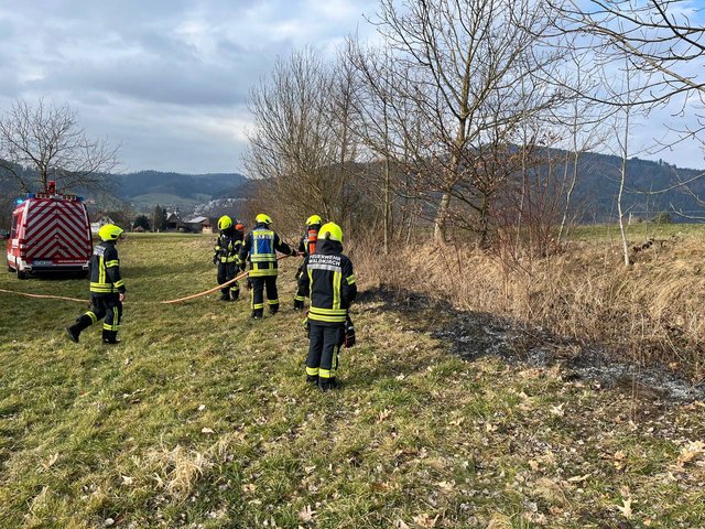 09.02.2025 Flächenbrand Heimeck 1