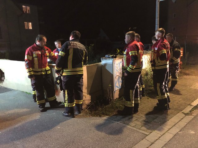 20.10.2024 Tierrettung Friedhofstraße